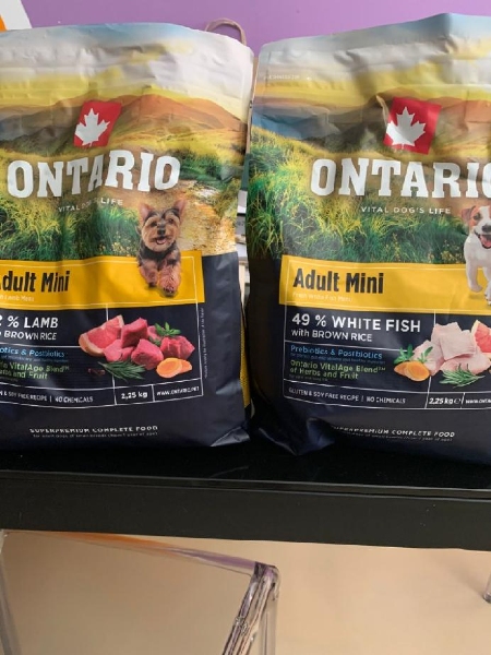 Útulek Přímětice u Znojma